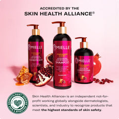 Pomegranate & Honey Leave-In Conditioner
